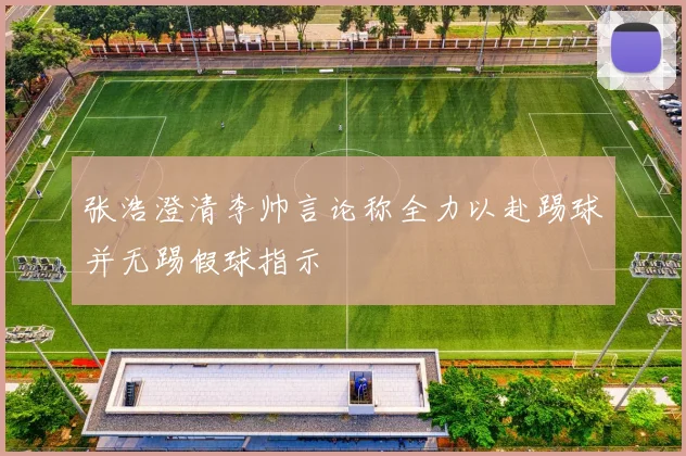 张浩澄清李帅言论称全力以赴踢球并无踢假球指示