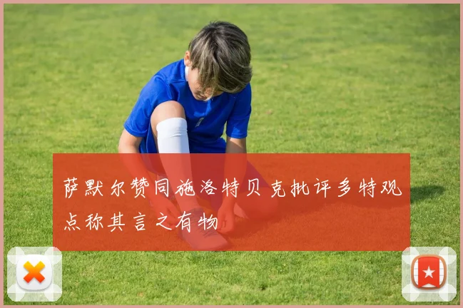 萨默尔赞同施洛特贝克批评多特观点称其言之有物