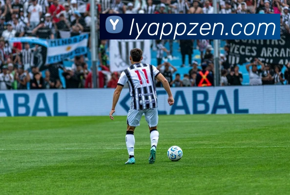 乐鱼APP品牌故事