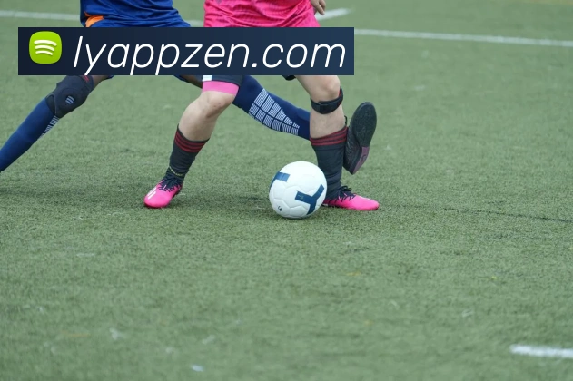 乐鱼APP服务体系