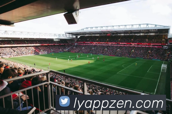 乐鱼APPAPP 体育赛事宣传图